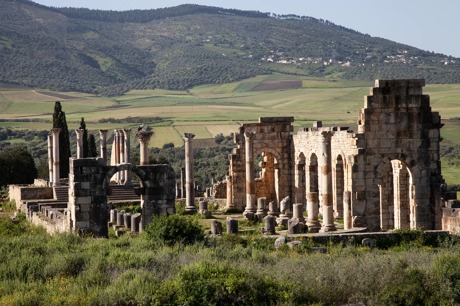 Excursion from Casablanca to Volubilis Moulay driss Meknes